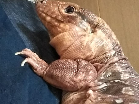 旧友 一花咲かせようじゃないの!