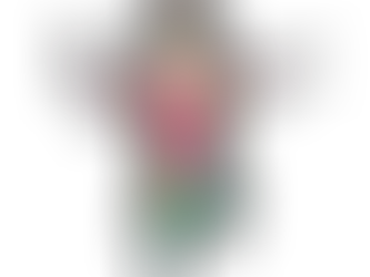 腑におちました✖4