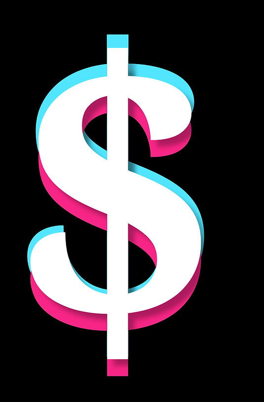 Be Seen On TikTok & Get Paid Logo 2_edited.jpg
