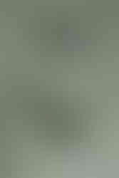 Planning a Bozeman wedding? Get fall inspo, pet-friendly tips, and the best venues in Bozeman, MT for the most joyful, unfiltered “I do."