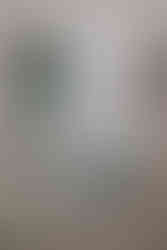 Planning a Bozeman wedding? Get fall inspo, pet-friendly tips, and the best venues in Bozeman, MT for the most joyful, unfiltered “I do."