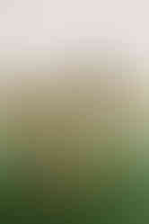 Planning a Bozeman wedding? Get fall inspo, pet-friendly tips, and the best venues in Bozeman, MT for the most joyful, unfiltered “I do.”