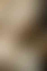 Planning a Bozeman wedding? Get fall inspo, pet-friendly tips, and the best venues in Bozeman, MT for the most joyful, unfiltered “I do."