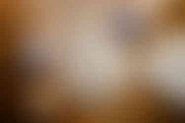 Planning a Bozeman wedding? Get fall inspo, pet-friendly tips, and the best venues in Bozeman, MT for the most joyful, unfiltered “I do."