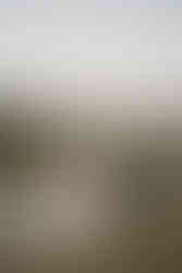 Foster Creek Farm Wedding inspo for couples craving modern farm vibes, stunning views, smart layouts, and design-forward ideas you’ll actually want to steal.