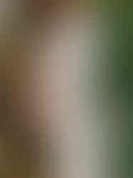 Foster Creek Farm Wedding inspo for couples craving modern farm vibes, stunning views, smart layouts, and design-forward ideas you’ll actually want to steal.