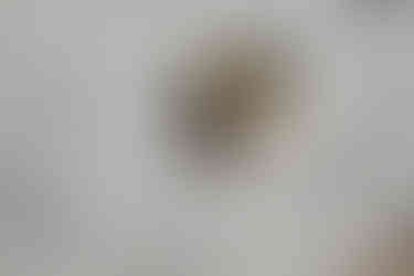 Planning a Bozeman wedding? Get fall inspo, pet-friendly tips, and the best venues in Bozeman, MT for the most joyful, unfiltered “I do."