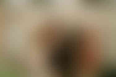 Planning a Bozeman wedding? Get fall inspo, pet-friendly tips, and the best venues in Bozeman, MT for the most joyful, unfiltered “I do."