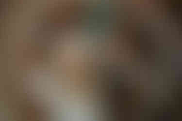 Planning a Bozeman wedding? Get fall inspo, pet-friendly tips, and the best venues in Bozeman, MT for the most joyful, unfiltered “I do."