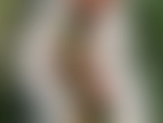 Foster Creek Farm Wedding inspo for couples craving modern farm vibes, stunning views, smart layouts, and design-forward ideas you’ll actually want to steal.