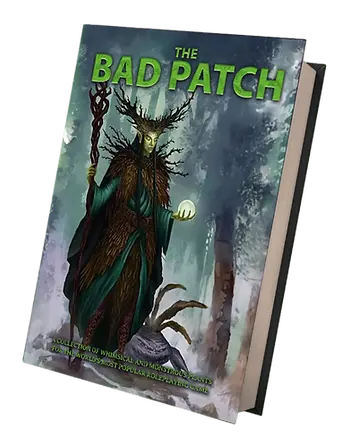 The Bad Patch Cover