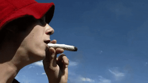 marijuana motion graphics.gif