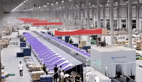 Narrow Belt Sorter Wayzim3.gif