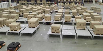LMR Transporte Welco Robotics