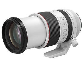 rf 70-200_edited.jpg