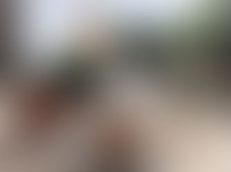 Biscottini di avena, frutti rossi, mele e maple syrup (sciroppo d'acero)