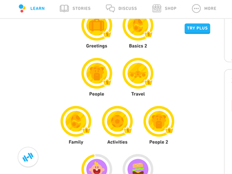 Creativity - French on Duolingo (again!)