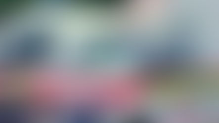 NEWLY PROCURED AMBULANCES TO BE DISTRIBUTED ON JANUARY 6, 2020- BAWUMIA