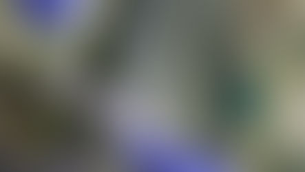 COVID-19: 10 FOOD VENDORS, 3 TAXI DRIVERS TEST POSITIVE FOR COVID-19 AROUND ACHIMOTA HOSPITAL