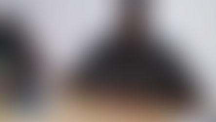 ALLEGATION, DENIAL OF ‘TRAINING THUGS’ NOT ENOUGH; PROBE IT – PNC GEN. SECRETARY