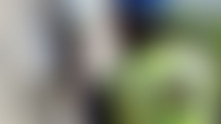 ELECTRICITY, WATER TARIFFS GO UP TODAY