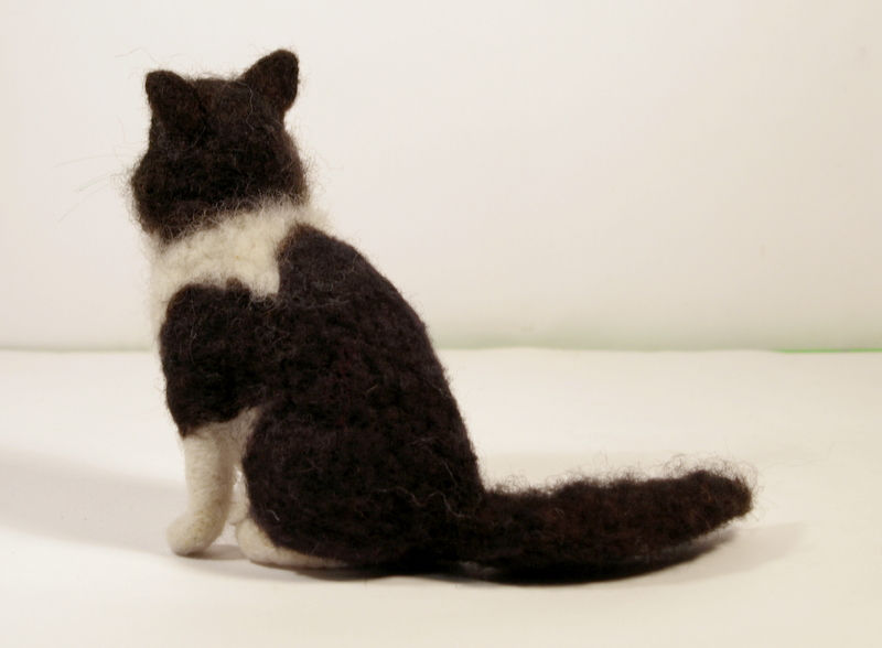 Thumbnail: Frodo the cat