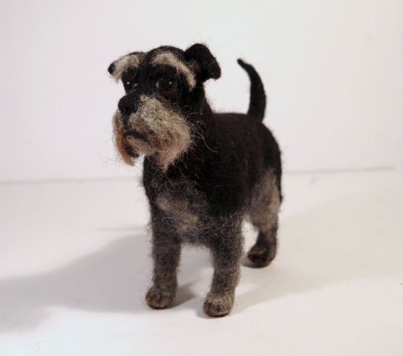 Thumbnail: Miniature Schnauzer Nušica