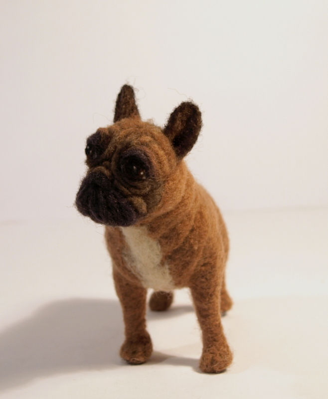 Thumbnail: French Bulldog Torri