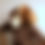 Thumbnail: Dog mask