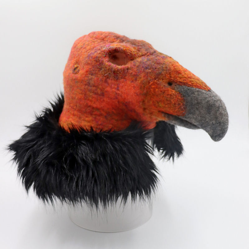 Thumbnail: California condor mask