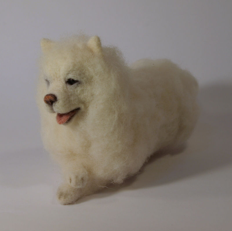Thumbnail: Samoyed Beni