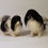 Thumbnail: Japanese Chin brothers,  Buda and Tibo