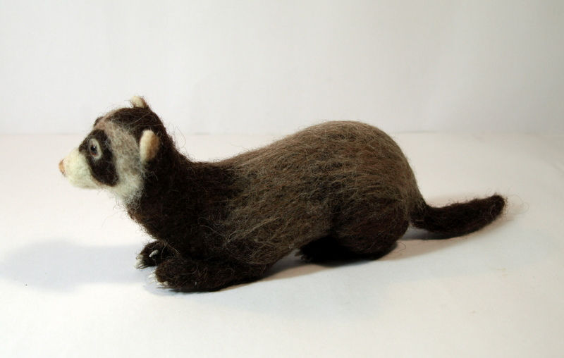 Thumbnail: Ferret Pergo