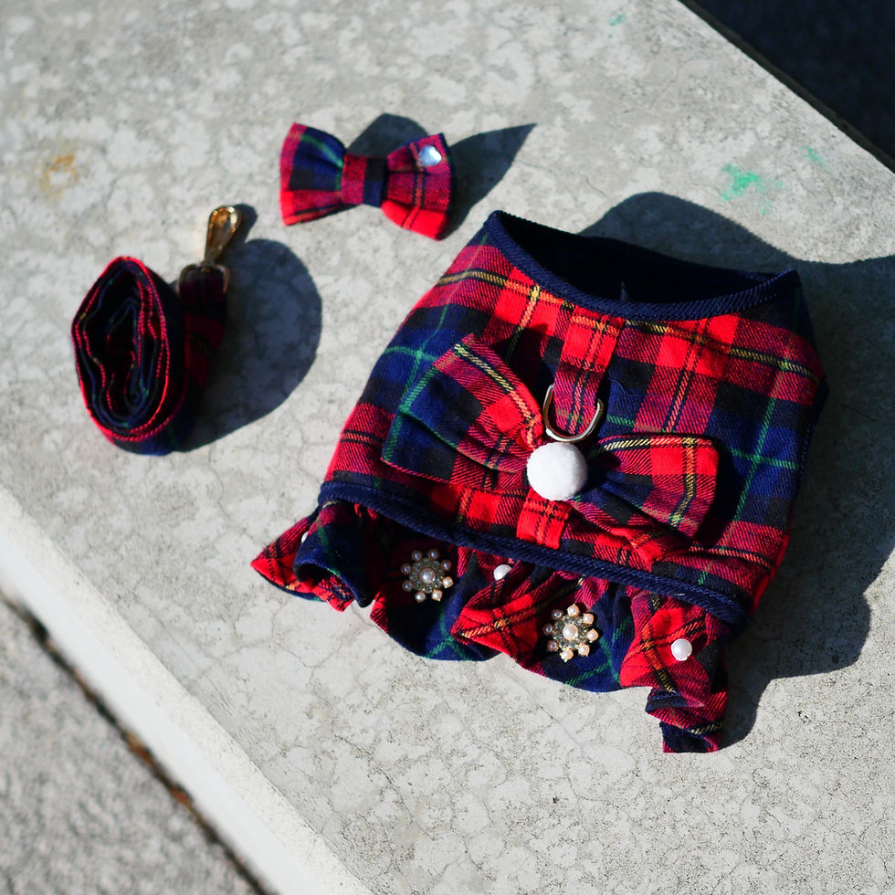 サムネイル： クリスマスホリデーハーネス