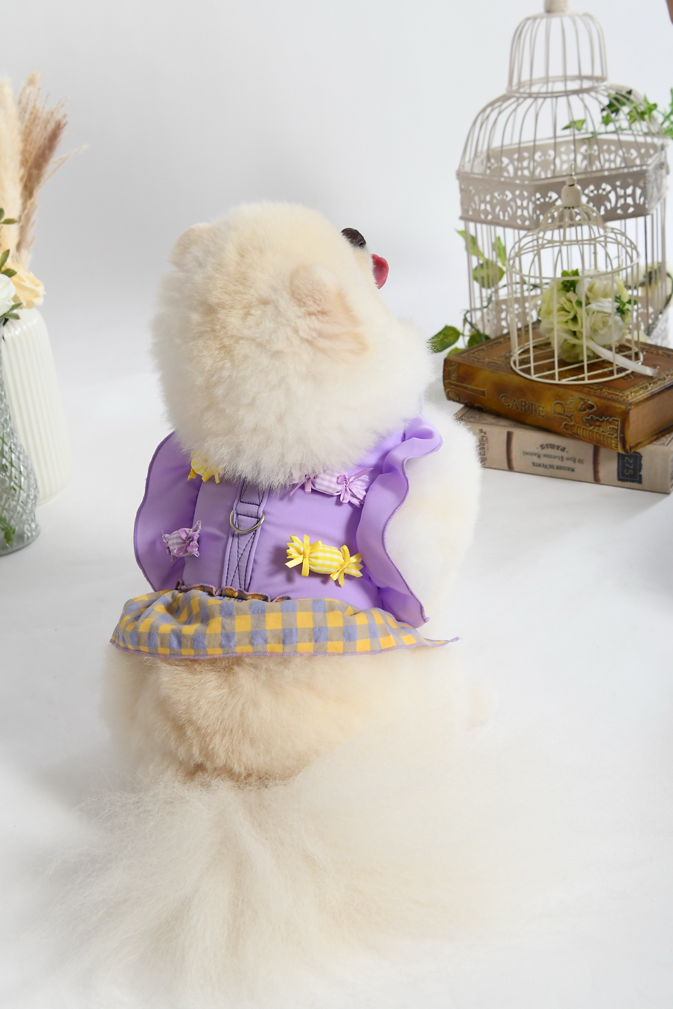 サムネイル： グレープキャンディーラビット