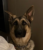 Kyro