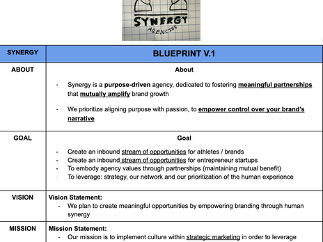 Synergy Agencies Blueprint V.1