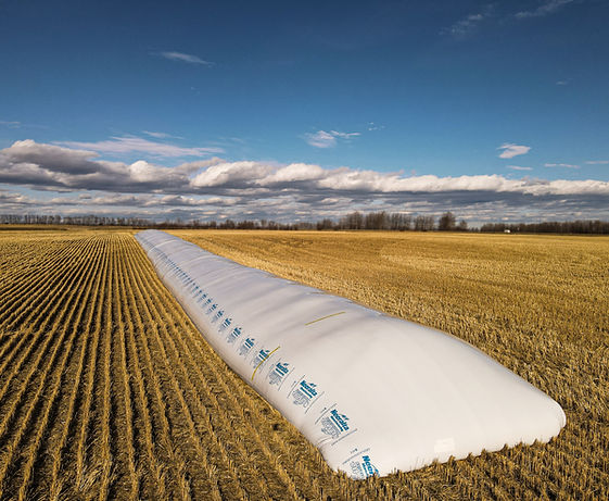 Grain bag on a field
