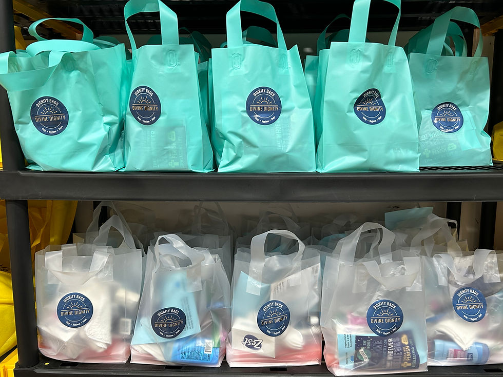 Dignity Bags 2024.jpeg