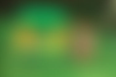 Artificial Grass