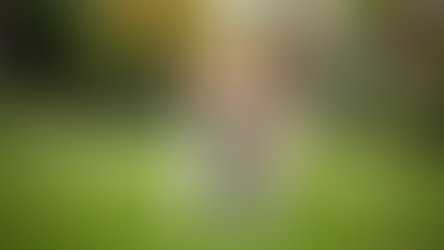 Evcil Hayvan Bakımı İçin En İyi İpuçları