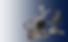 Untitled design-5.png