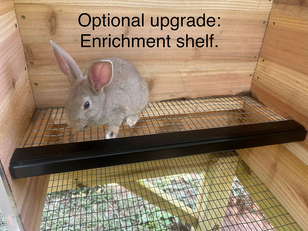 Thumbnail: Rabbit grow-out hutch