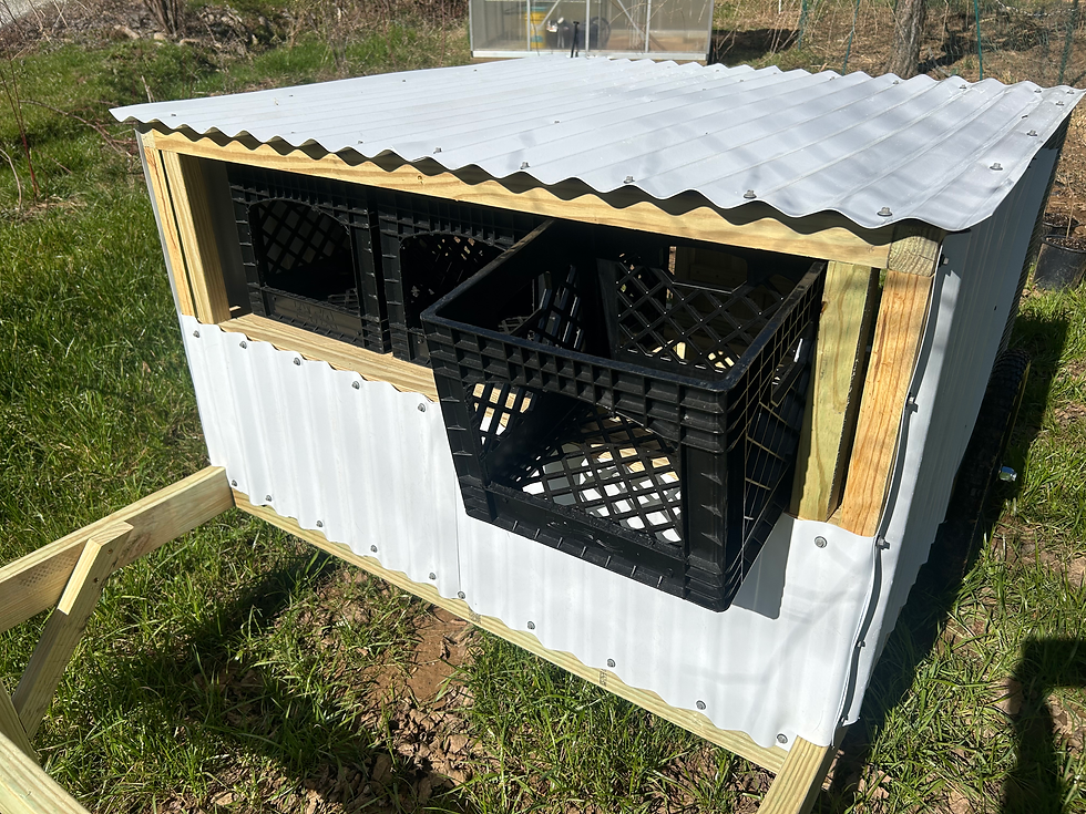 Thumbnail: A wheeled chicken coop with one of two removeable nest boxes partially pulled out.  