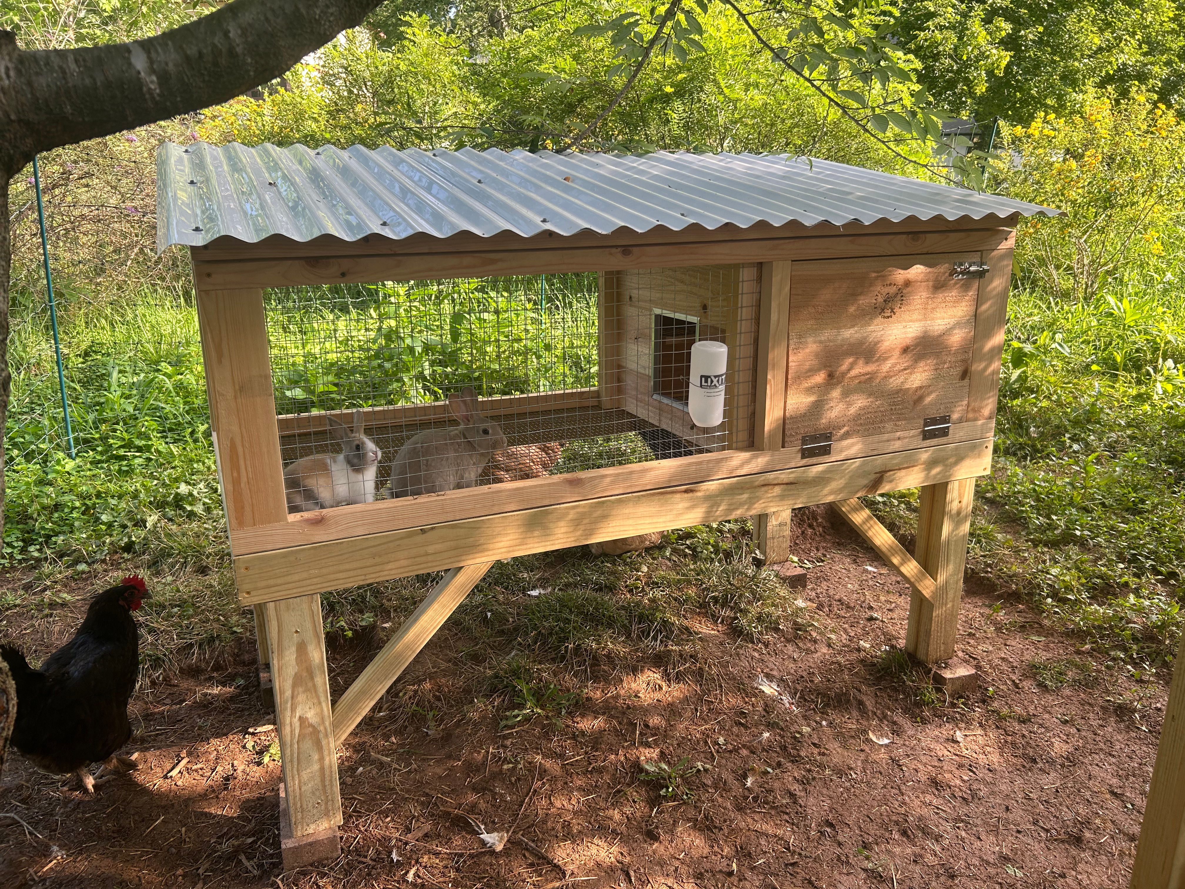 Rabbit grow-out hutch