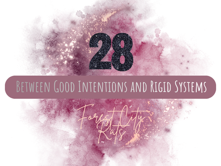 Between Good Intentions and Rigid Systems