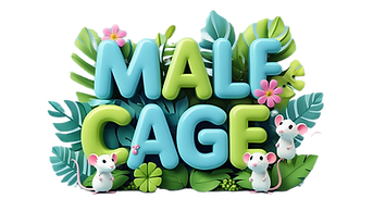 5d Word art that is cute and says _Male Cage_ with tropical leaves, cartoon rats, and flow