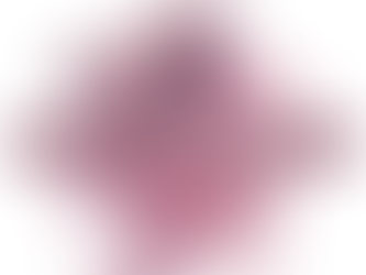 The True Costs of Vet Care