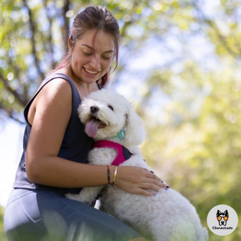 A Importância dos Cães de Suporte Emocional