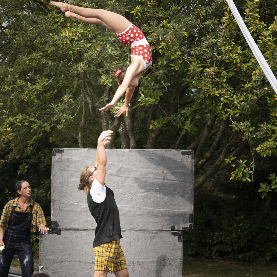 Family Circus show